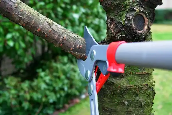 tree services Reading